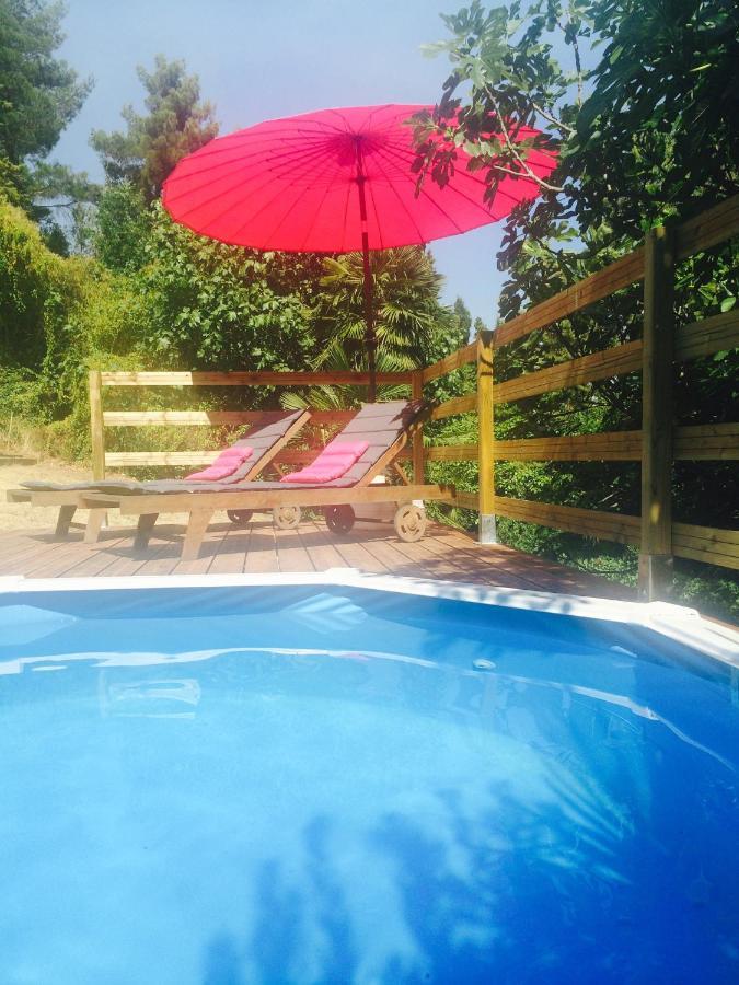 Chambre D'Hote Vue Imprenable Sur Cite - Villa Rose * Carcassonne